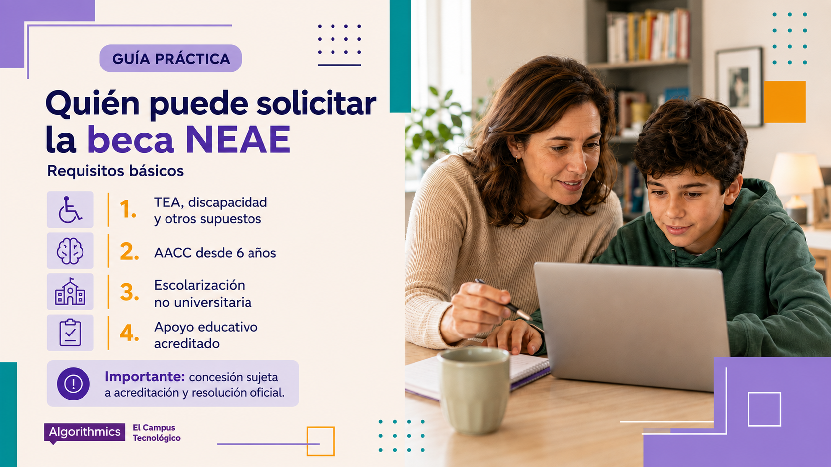 Requisitos generales para solicitar la beca NEAE 2026-2027